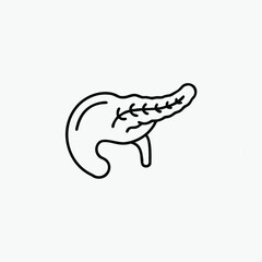 pancreas line art icon silhoutte vector template