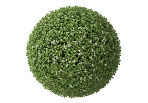 Perfectly shaped green bush with small white flowers, isolated transparent background - Powered by Adobe