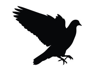 Black silhouette of pigeon bird landing with wings spread