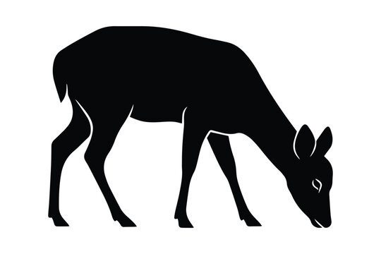 Black silhouette of female deer grazing. Vector illustration
