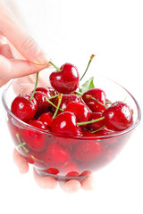 Fresh Red Cherries in Glass Bowl - Hand Picking Ripe Fruit with Water Drops