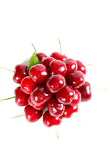Fresh American Cherries with Stems and Water Drops Isolated on White Background