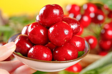 Fresh Red Cherries with Water Droplets in Wooden Spoon - Summer Fruit Harvest