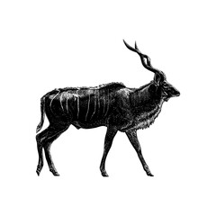 kudu, showcasing its elegant spiral horns, muscular body, and natural posture. The artwork features intricate shading and texture, highlighting the animal’s distinctive form.