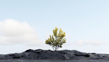 A single green tree stands on a dark, barren, rocky hill against a pale blue sky with scattered white clouds. The scene is minimalist and evokes a sense of resi
