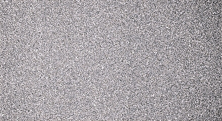 Black and white speckled texture with random small dark spots on light background pattern abstract