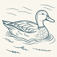 Classic handdrawn line art illustration of a duck swimming serenely on the water, depicting the graceful movement and natural beauty of this waterfowl