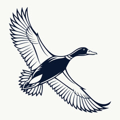 A classic black and white illustration of a mallard duck in flight, showcasing its outstretched wings and graceful posture, isolated on