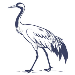 Elegant common crane bird illustration, a graceful and tall wading bird with long legs and neck, often found in wetlands, isolated on