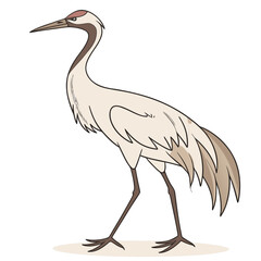 Fototapeta premium Elegant sandhill crane bird illustration with a long neck and beak, standing gracefully, showcasing its distinctive features, isolated on