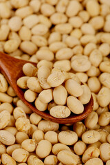 Dried Soybean Snacks from Guizhou - Crispy Instant Legumes in Wooden Spoon