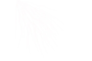 Faint Soft Lightning Veins Texture with Subtle Branching Energy Lines