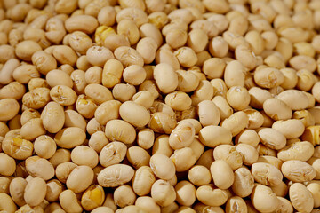 Crispy Roasted Soybean Snacks from Guizhou China - Traditional Asian Legume Food Background