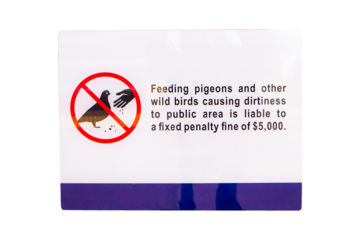Do not feed pigeons sign white. Feeding pigeons and other wild birds causind dirtiness public area is liable to a fixed penalty fine of $ 5,000 isolated on cutout PNG or transparent background.