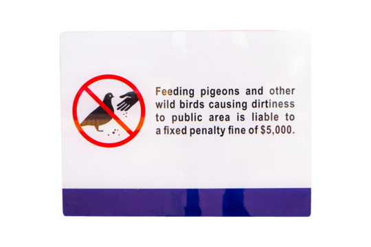 Do not feed pigeons sign white. Feeding pigeons and other wild birds causind dirtiness public area is liable to a fixed penalty fine of $ 5,000 isolated on cutout PNG or transparent background.