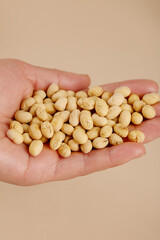 Handful of Dried Soybeans - Natural Organic Legumes for Cooking and Traditional Asian Cuisine