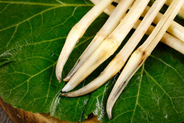 Fresh lotus root vegetables on green leaf - traditional Asian ingredient from Honghu