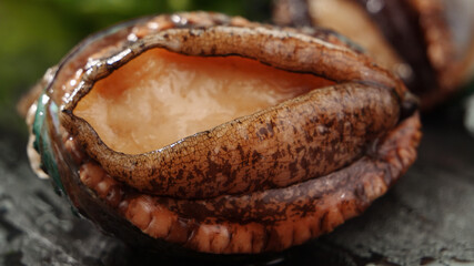 Fresh Abalone Shell Closeup with Iridescent Interior and Natural Texture