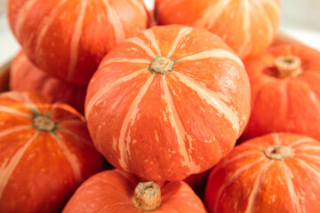 Fresh Golden Orange Pumpkins for Autumn Harvest and Halloween Decorations