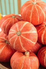 Fresh Orange Pumpkins with Red Striped Pattern for Autumn Harvest and Halloween Decoration