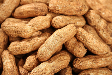Fresh Unshelled Peanuts in Natural Brown Shells Close-Up Food Photography
