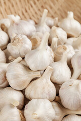 Fresh White Garlic Bulbs from Shandong China - Organic Cooking Ingredient Collection
