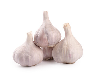 Fresh Shandong Garlic Bulbs on White Background - Organic Cooking Ingredients
