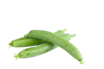 Fresh Long Green Squash Vegetables from Shouguang Shandong on White Background
