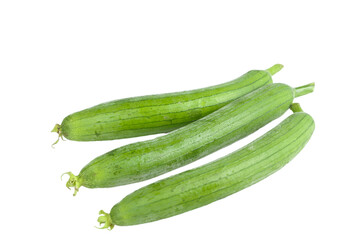 Fresh Luffa Gourds from Shandong China on White Background - Healthy Asian Vegetable Ingredients