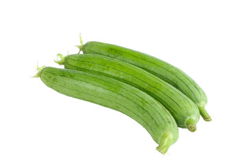 Fresh Green Loofah Gourds from Shandong Shouguang China on White Background