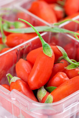 Fresh Red Wolfberries Goji Berries from Ningxia China in Plastic Containers Healthy Superfruit