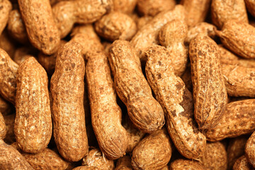 Fresh Raw Peanuts in Natural Shells - Healthy Snack Food Background Display