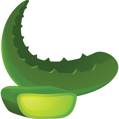 Illustration of a vibrant green aloe vera plant with a sliced segment showcasing its juicy interior set against a clean white background suitable for health and wellness themes