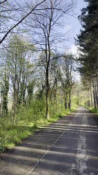 A morning jog through one of the city parks in Kazanlak, Central Bulgaria - in the foothills of the Balkan mountain - on a crisp and sunny April morning