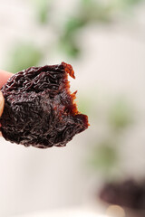 Dried Candied Plum Fruit Traditional Asian Preserved Snack Held in Hand