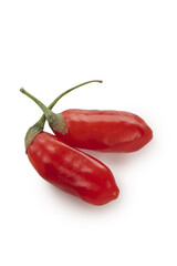 Fresh Red Goji Berries Wolfberries from Ningxia China on White Background