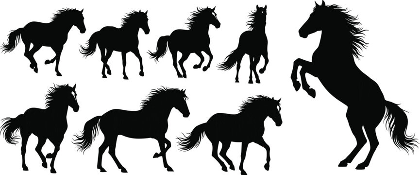 Set of black horse silhouettes, vector illustrations of stallions running and rearing up, isolated design elements for equestrian sports and ranch branding.