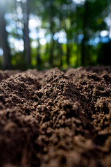 Fertile farm soil. Topsoil with humus and clay. Cultivated ground in rural farm field. Freshly plowed earth. Organic compost mixed into farm soil. Fertile soil.