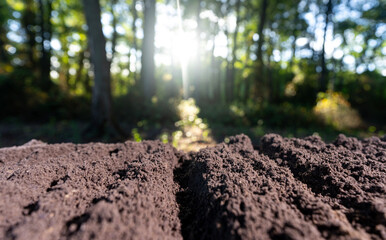 Agricultural field with cultivated ground. Compost and organic fertilizer. Fertile land. Preparing soil for cultivation.