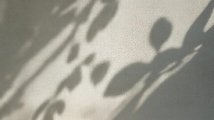Artistic shadows of tree branches and leaves dancing over a textured wall in warm sunlight. Atmospheric and elegant natural footage ideal for overlays, nature themes, mood videos, and relaxation visua