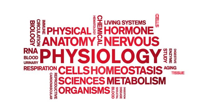 Physiology animated word cloud-text design animation tag kinetic typography seamless loop.