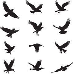 Obraz premium Twelve black bird silhouettes in flight on white background