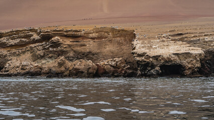The coast of an island in the ocean. Pelicans have settled on the rocky shores. Ripples, reflections on the surface of the water. Peru. Paracas. Ballestas Islands  