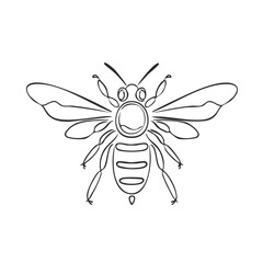 Obraz premium Detailed line drawing of a bee with wings spread, facing forward.