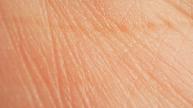 A close-up of palm skin showcases intricate grooves and textures, emphasizing how each person&rsquo;s individuality and identity are shaped by both genetic biology and the journey of life&rsquo;s experiences.
