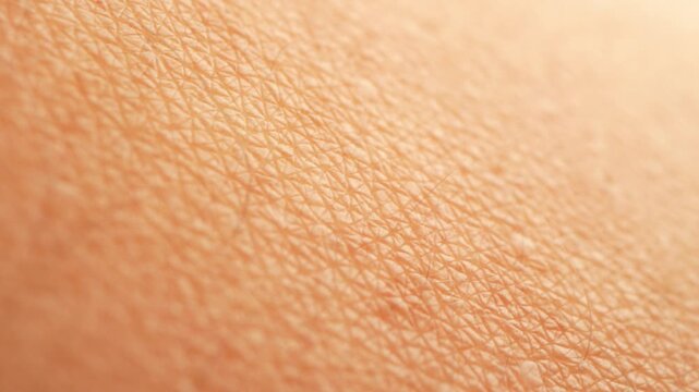 The tiny ridges and grooves in this macro photo reflect how human skin acts as a shield, blending adaptation and resilience with unique biological design and health indicators.
