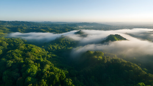 Aerial view of dense green rolling hills partially covered by low white morning mist above a distant valley