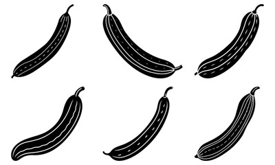 Fresh zucchini harvest: A versatile ingredient for healthy cooking and culinary creativity, perfect for farm-to-table recipes and vibrant summer dishes