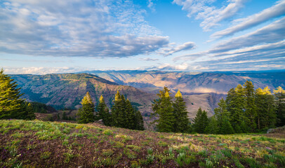Afternoon Sunlight Over Deep Canyon