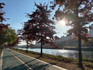 Riverside park walkway lined with autumn trees, featuring warm sunlight, reflective water, and nearby apartment buildings, creating a peaceful urban landscape along a scenic outdoor jogging and walkin